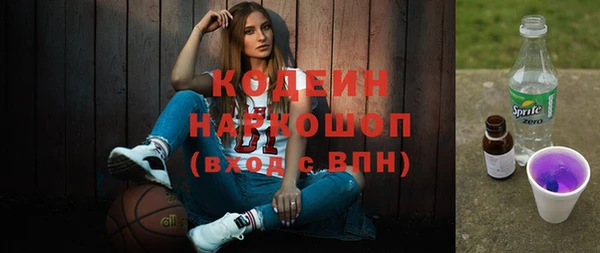 2c-b Краснослободск