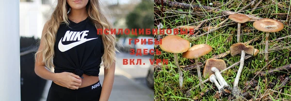 мяу мяу мука Кулебаки