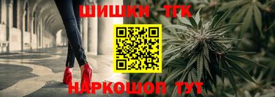 молекула духа Камышлов