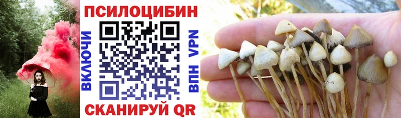 Галлюциногенные грибы GOLDEN TEACHER  Оренбург 