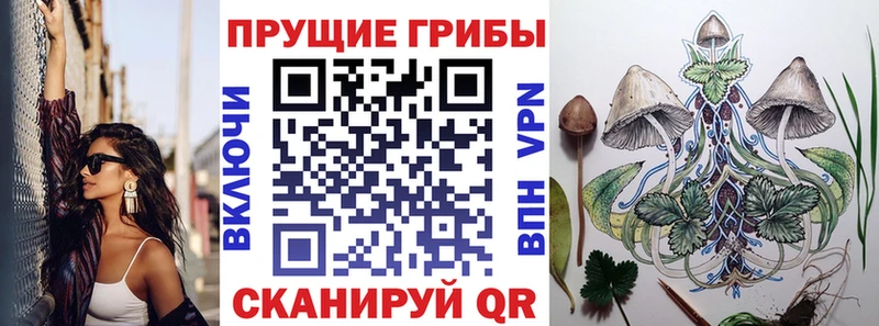 Галлюциногенные грибы Psilocybe Оренбург